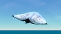 Skyray