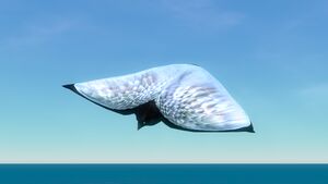 Skyray (1).jpg