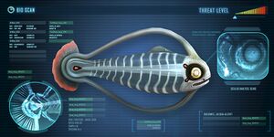 SpineFish.jpg