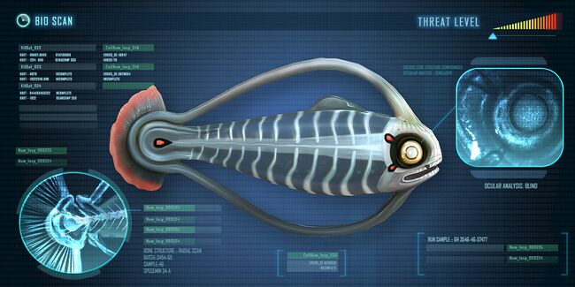 SpineFish.jpg