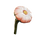 Young Cotton Anemone Icon.png