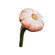 Young Cotton Anemone Icon.png