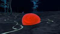 Blood Oil on the seabed
