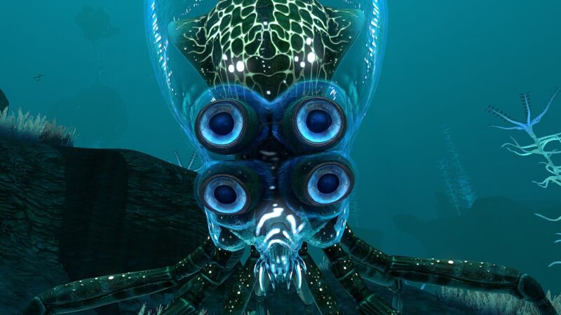 File:Crabsquid Closeup.jpg