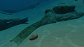 The Crash Zone's wonderful aspects