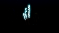Bioluminescence