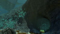 A small underwater cave at the base of the Mountain Island