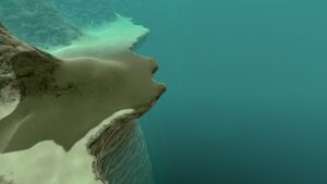 2015-04-28 00013.jpg