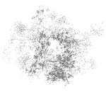 Bloomplankton-1.png