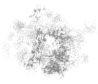 Bloomplankton-1.png