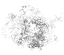 Bloomplankton-1.png