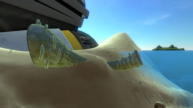 File:Coral Tube (5).jpg