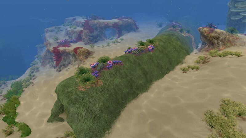 File:Coral Tube (7).jpg