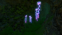 KelpCavesInfoboxImage.png