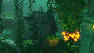 KelpForestWreck-1.jpg