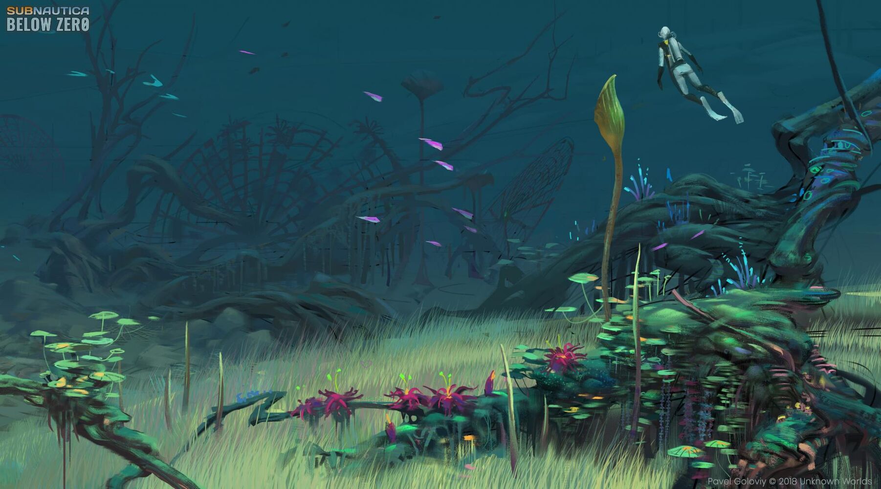 Lily pad islands 11 details.jpg