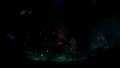 Thumbnail for version as of 17:51, 5 February 2017