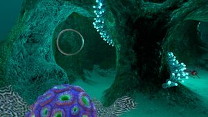 Mushroom Forest Caves (9).jpg