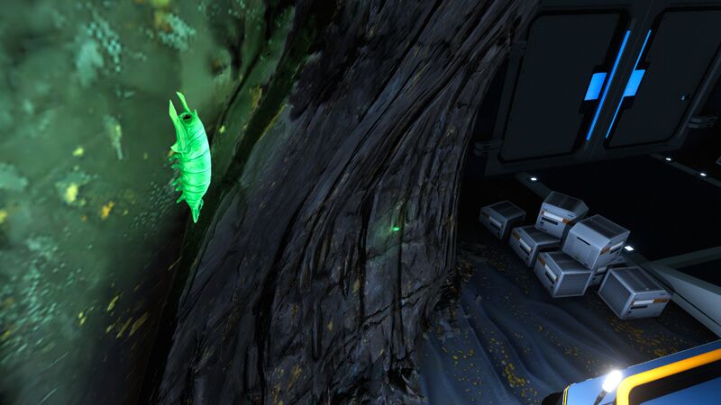 File:RockgrubSurface.jpg