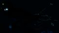 Bioluminescence