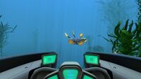 Two electrical pulses shocked a Hoverfish