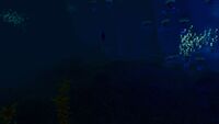 The northern underwater portion during the night