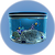 Alien Containment.png