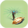 Fern Palm Seed.png