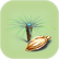 Fern Palm Seed.png