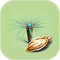 Fern Palm Seed.png