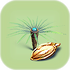 Fern Palm Seed.png