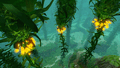 Kelp Forest 3.gif