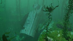 Kelp Forest Wreck (19).jpg