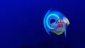 Thumbnail for version as of 02:36, 7 August 2021