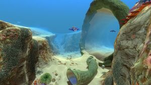 Safe Shallows (1).jpg
