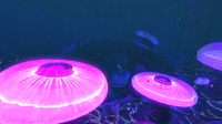 The Jelly Shroom Caves