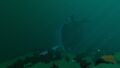 Thumbnail for version as of 23:23, 2 December 2015