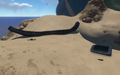 Thumbnail for version as of 19:39, 5 February 2021