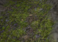 Thumbnail for version as of 16:48, 5 February 2017