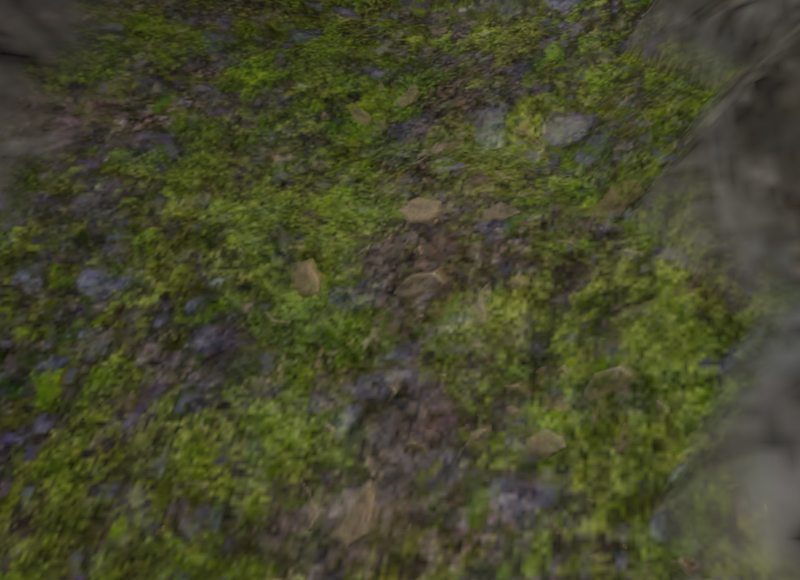 File:Moss.png