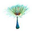 Thumbnail for version as of 00:55, 7 August 2021