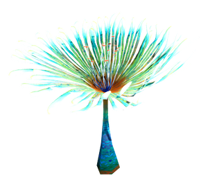 Paddle Fern Flora.png