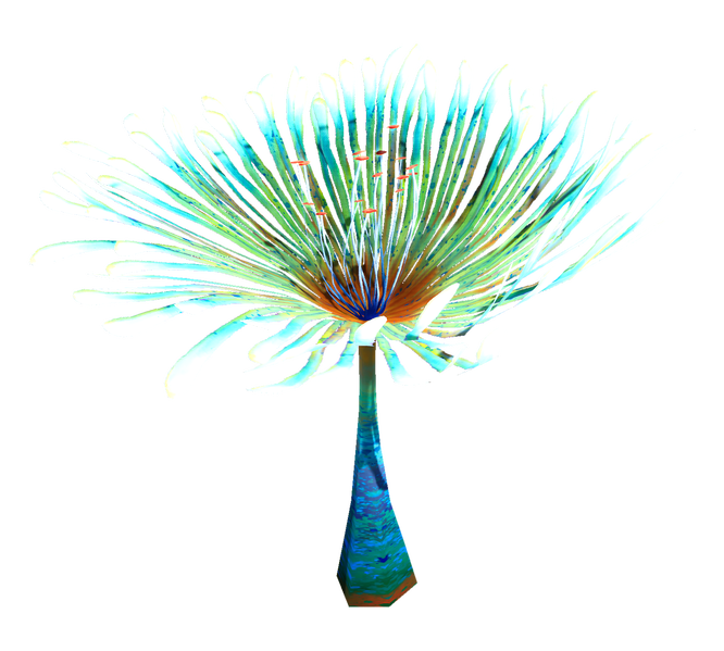 File:Paddle Fern Flora.png