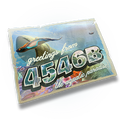 The Postcard (image from Steam)