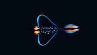 Rabbit Ray