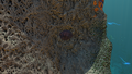Thumbnail for version as of 14:14, 22 April 2017
