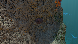 ShaleNewInGameMushroom.png