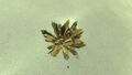 Sulphur Crystal In-Game