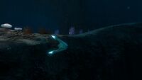 A Boomerang in the Sea Treader's Tunnel Caves