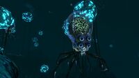 A Crabsquid in the Deep Grand Reef